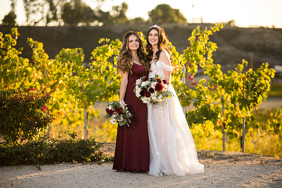 Temecula Wedding Photographer at Avensole Winery, Haley & Tristian-530