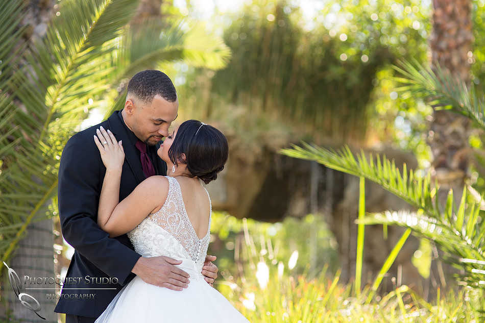 Stone Garden Fallbrook Wedding Photo by Temecula Wedding Photographer - Hope and Christopher