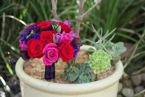 Stone Garden Events Fallbrook Wedding Photo by Temecula Wedding Photographer - Hope and Christopher