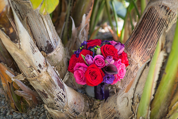 Stone Garden Events Fallbrook Wedding Photo by Temecula Wedding Photographer - Hope and Christopher