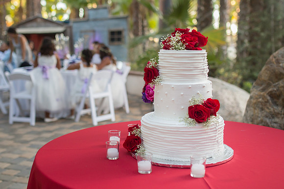 Stone Garden Events Fallbrook Wedding Photo by Temecula Wedding Photographer - Hope and Christopher