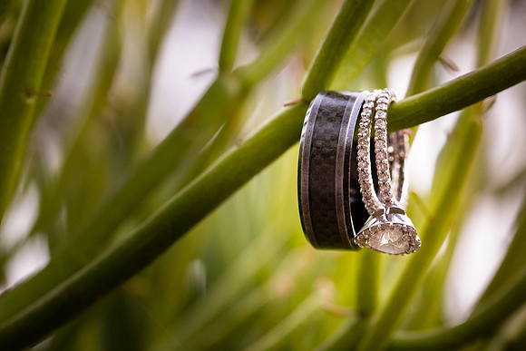 Stone Garden Events Fallbrook Wedding Photo by Temecula Wedding Photographer - Hope and Christopher
