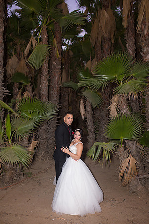 Stone Garden Events Fallbrook Wedding Photo by Temecula Wedding Photographer - Hope and Christopher