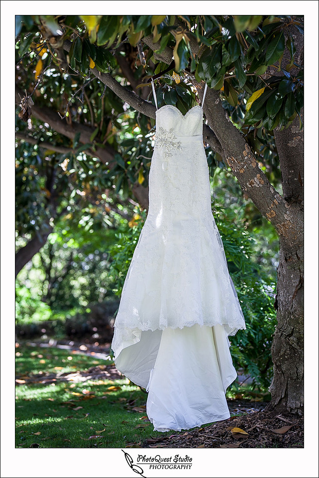 Temecula Creek Inn Wedding Photo by Temecula Wedding Photographers - The wedding dress