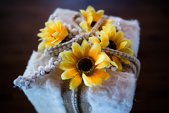 wedding photographer in temecula orange county longshadow ranch winery karen scott-30