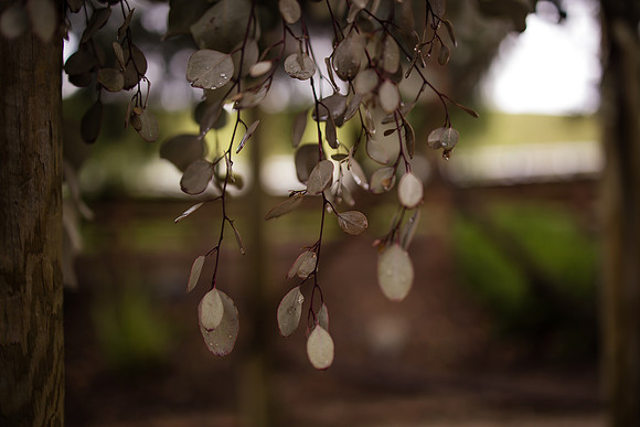 wedding photographer in temecula orange county longshadow ranch winery karen scott-54