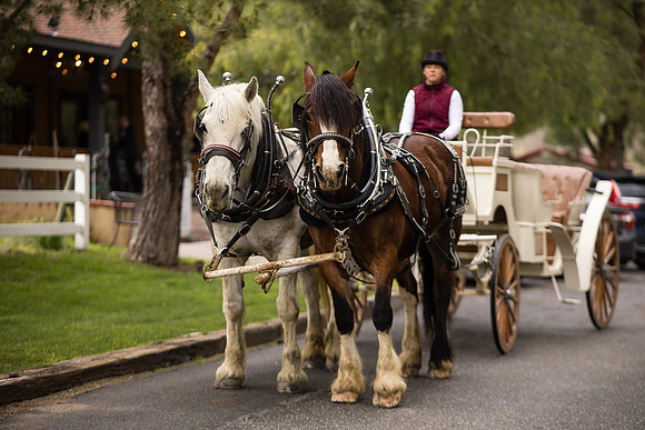wedding photographer in temecula orange county longshadow ranch winery karen scott-260
