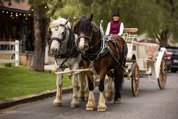 wedding photographer in temecula orange county longshadow ranch winery karen scott-261