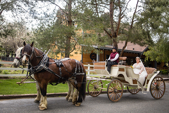 wedding photographer in temecula orange county longshadow ranch winery karen scott-263