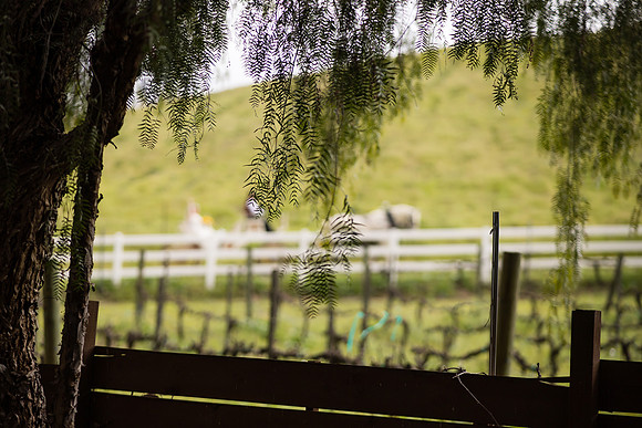 wedding photographer in temecula orange county longshadow ranch winery karen scott-283