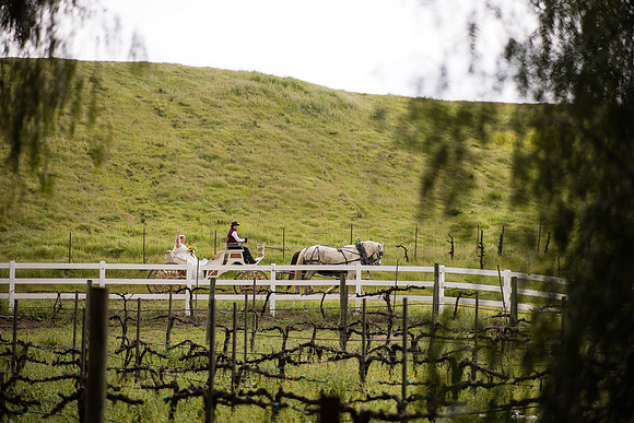 wedding photographer in temecula orange county longshadow ranch winery karen scott-284