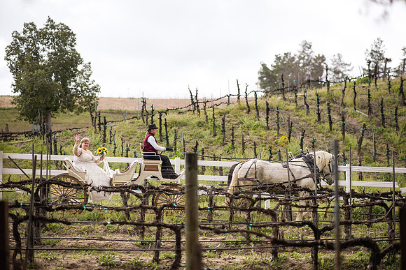 wedding photographer in temecula orange county longshadow ranch winery karen scott-286