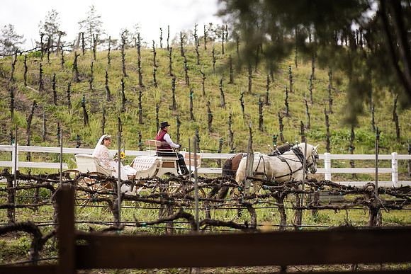 wedding photographer in temecula orange county longshadow ranch winery karen scott-288