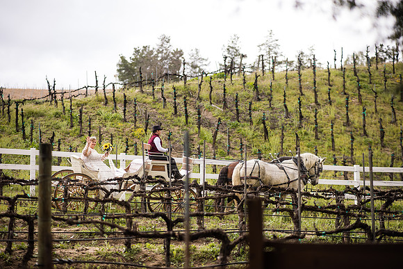 wedding photographer in temecula orange county longshadow ranch winery karen scott-287