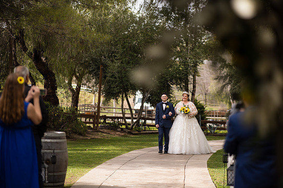 wedding photographer in temecula orange county longshadow ranch winery karen scott-296