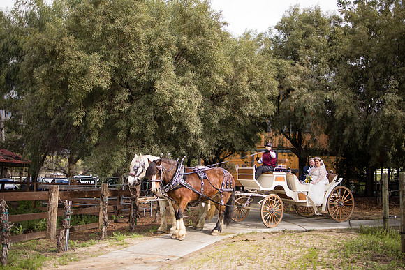 wedding photographer in temecula orange county longshadow ranch winery karen scott-391