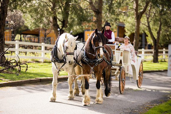 wedding photographer in temecula orange county longshadow ranch winery karen scott-395