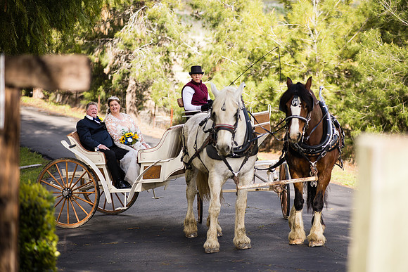 wedding photographer in temecula orange county longshadow ranch winery karen scott-396