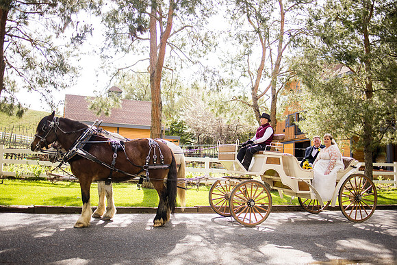 wedding photographer in temecula orange county longshadow ranch winery karen scott-393