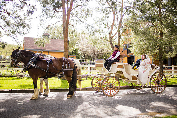 wedding photographer in temecula orange county longshadow ranch winery karen scott-394