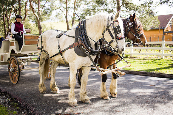 wedding photographer in temecula orange county longshadow ranch winery karen scott-400