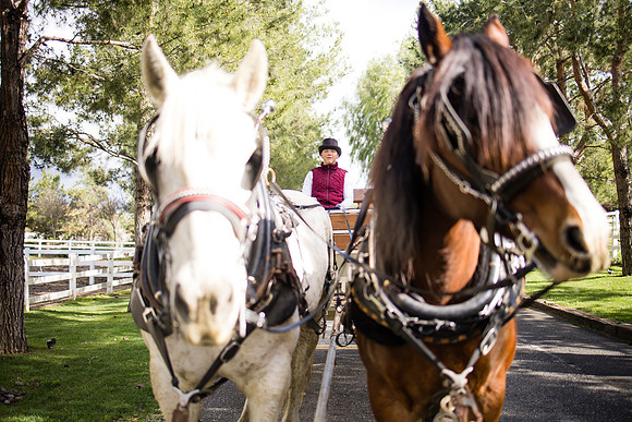 wedding photographer in temecula orange county longshadow ranch winery karen scott-401