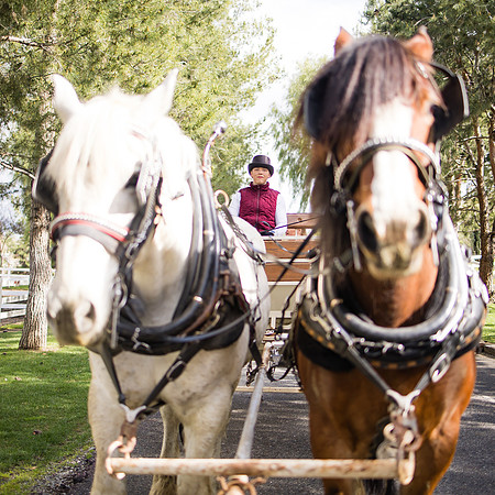 wedding photographer in temecula orange county longshadow ranch winery karen scott-402