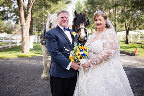 wedding photographer in temecula orange county longshadow ranch winery karen scott-405