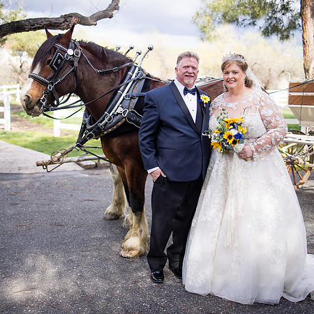 wedding photographer in temecula orange county longshadow ranch winery karen scott-404