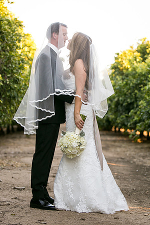 Beautiful wedding at Wiens Family Cellars Temecula Winery - Sarah & Shawn
