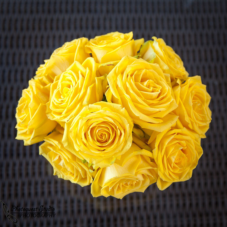 Temecula-Wedding-Photographer-at-Wiens-Family-Cellar-Winery-Bride-&-Groom-Tasting-Dinner-(6)---Yellow-Roses-by-MFG-Floral