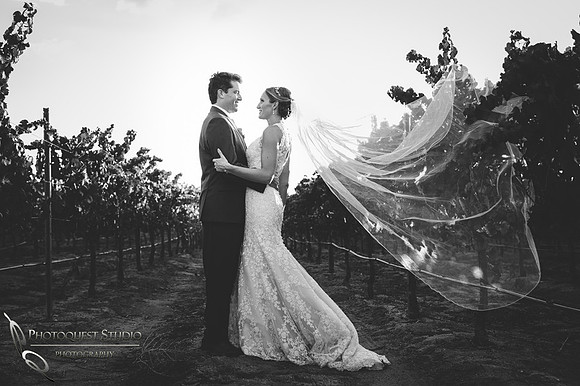 Mount Palomar Temecula Winery Wedding, Melissa and Chris Wedding by Temecula Wedding Photographer