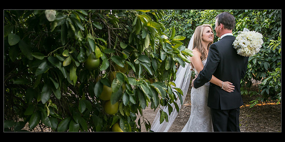 Beautiful wedding at Wiens Family Cellars Temecula Winery - Sarah & Shawn