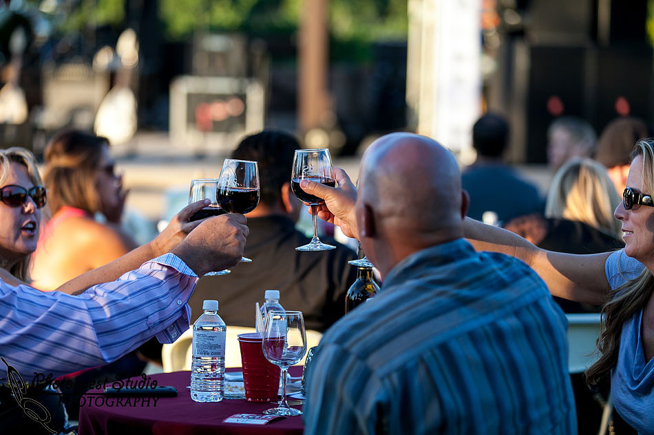 Temecula Wedding Photographer, Concert Photographer at Wiens Family Cellars Winery, The English Beat
