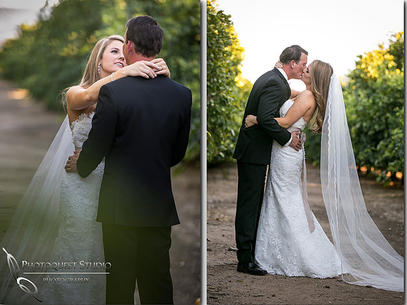 Beautiful wedding at Wiens Family Cellars Temecula Winery - Sarah & Shawn