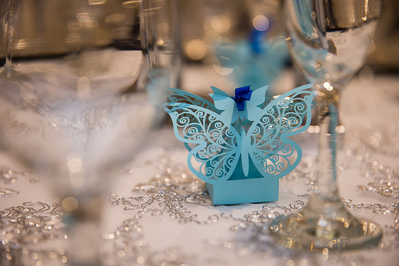 orange county riverside los angeles temecula quinceanera wedding photographer isabel (182)