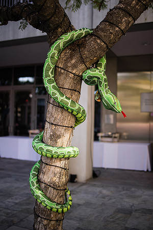 bat bar mitzvah photo orange county los angeles riverside temecula wedding photographer-13