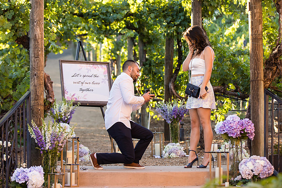 Surprise Proposal, Wilson Creek, Temecula Winery Wedding Photographer, Noelle & Johnny (21)