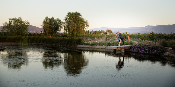 Surprise Proposal at Ponte Winery by Temecula Wedding Photographer