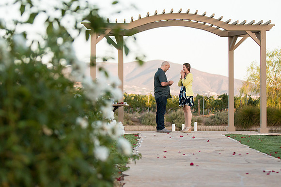 Surprise Proposal at Ponte Winery by Temecula Wedding Photographer