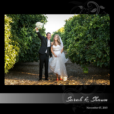 Beautiful wedding at Wiens Family Cellars Temecula Winery - Sarah & Shawn