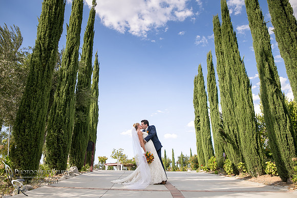 Mount Palomar Temecula Winery Wedding, Melissa and Chris Wedding by Temecula Wedding Photographer