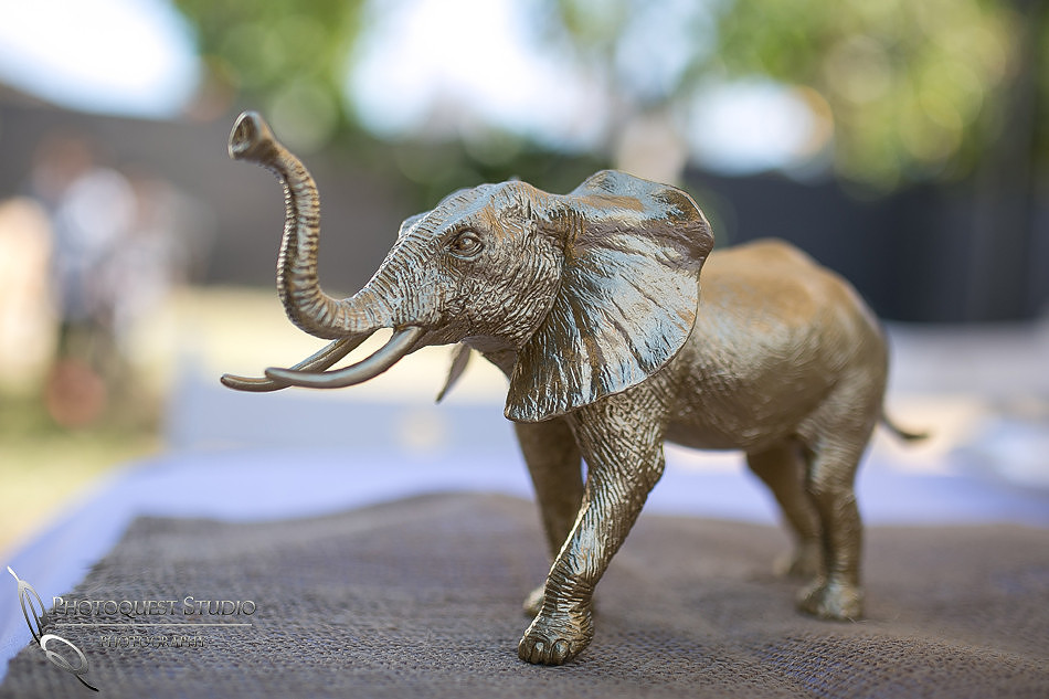 Elephane luck - Safari theme - 1st Birthday Party White and Gold