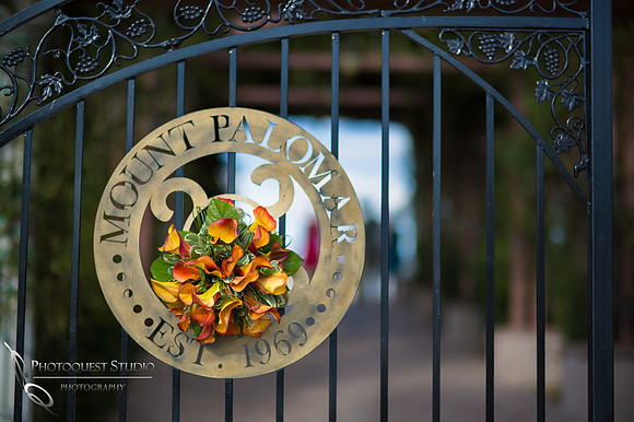 Mount Palomar Temecula Winery Wedding, Melissa and Chris Wedding by Temecula Wedding Photographer
