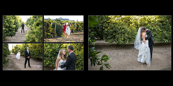 Beautiful wedding at Wiens Family Cellars Temecula Winery - Sarah & Shawn