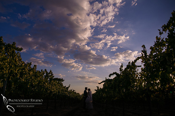 Mount Palomar Temecula Winery Wedding, Melissa and Chris Wedding by Temecula Wedding Photographer