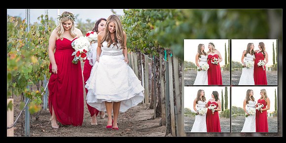 Beautiful wedding at Wiens Family Cellars Temecula Winery - Sarah & Shawn