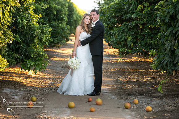 Beautiful wedding at Wiens Family Cellars Temecula Winery - Sarah & Shawn
