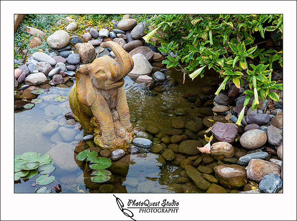 Carlsbad Beach Wedding by Temecula Wedding Photogarpher of Photoquest Studio, Photography