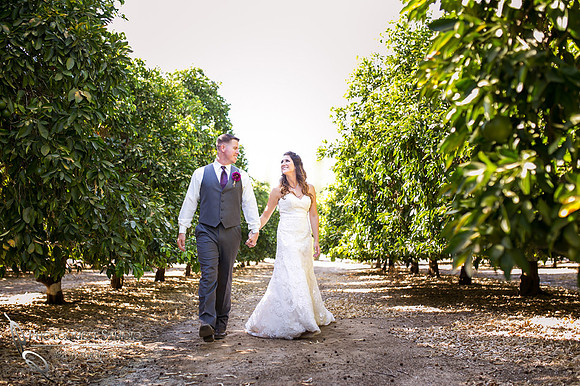 Wedding Photo at Temecula Winery, Wiens Family Cellars by Temecula Wedding Photographer, Amanda and Jonathon